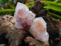 Natural Amethyst Spirit Quartz Clusters x 12 From Boekenhouthoek, South Africa