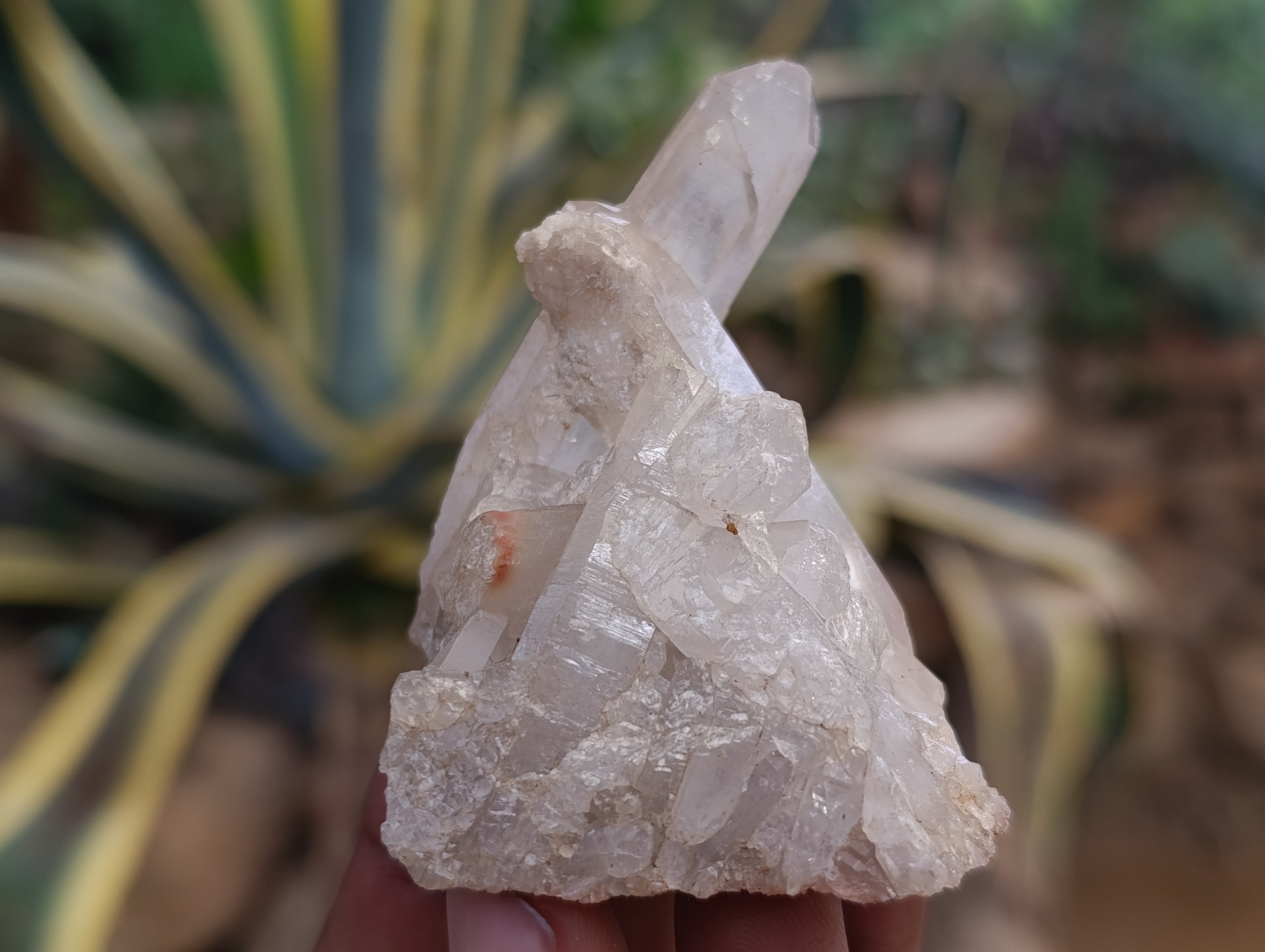 Natural Quartz Clusters x 24 From Madagascar - Toprock Gemstones and Minerals 