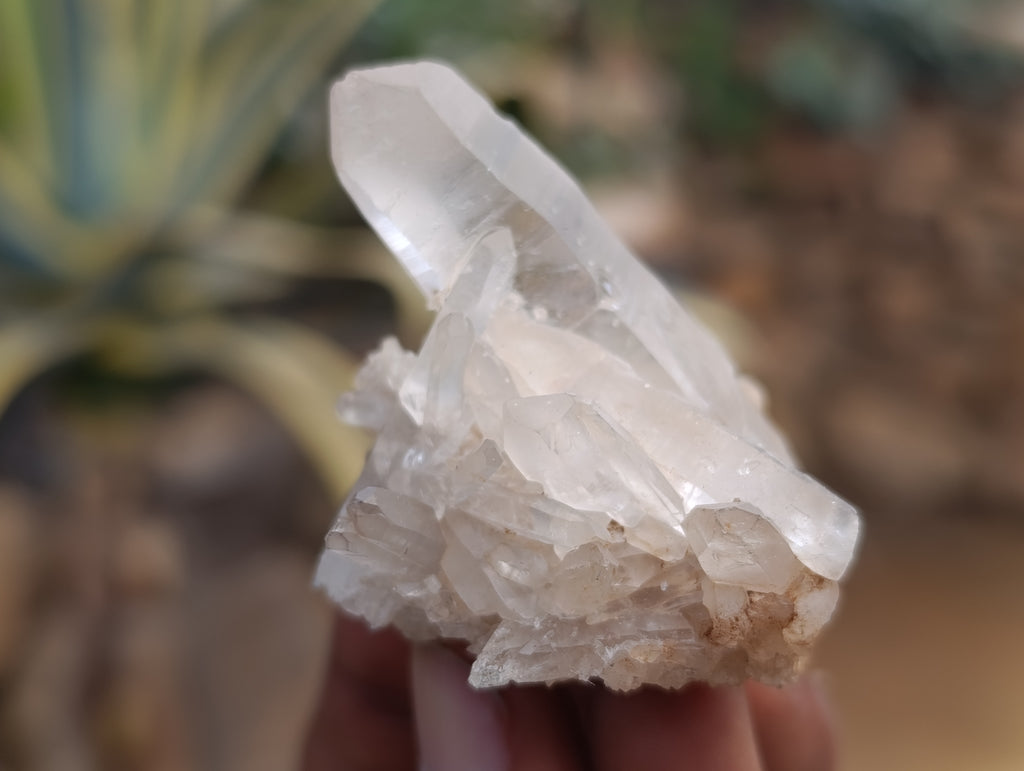 Natural Quartz Clusters x 24 From Madagascar - Toprock Gemstones and Minerals 