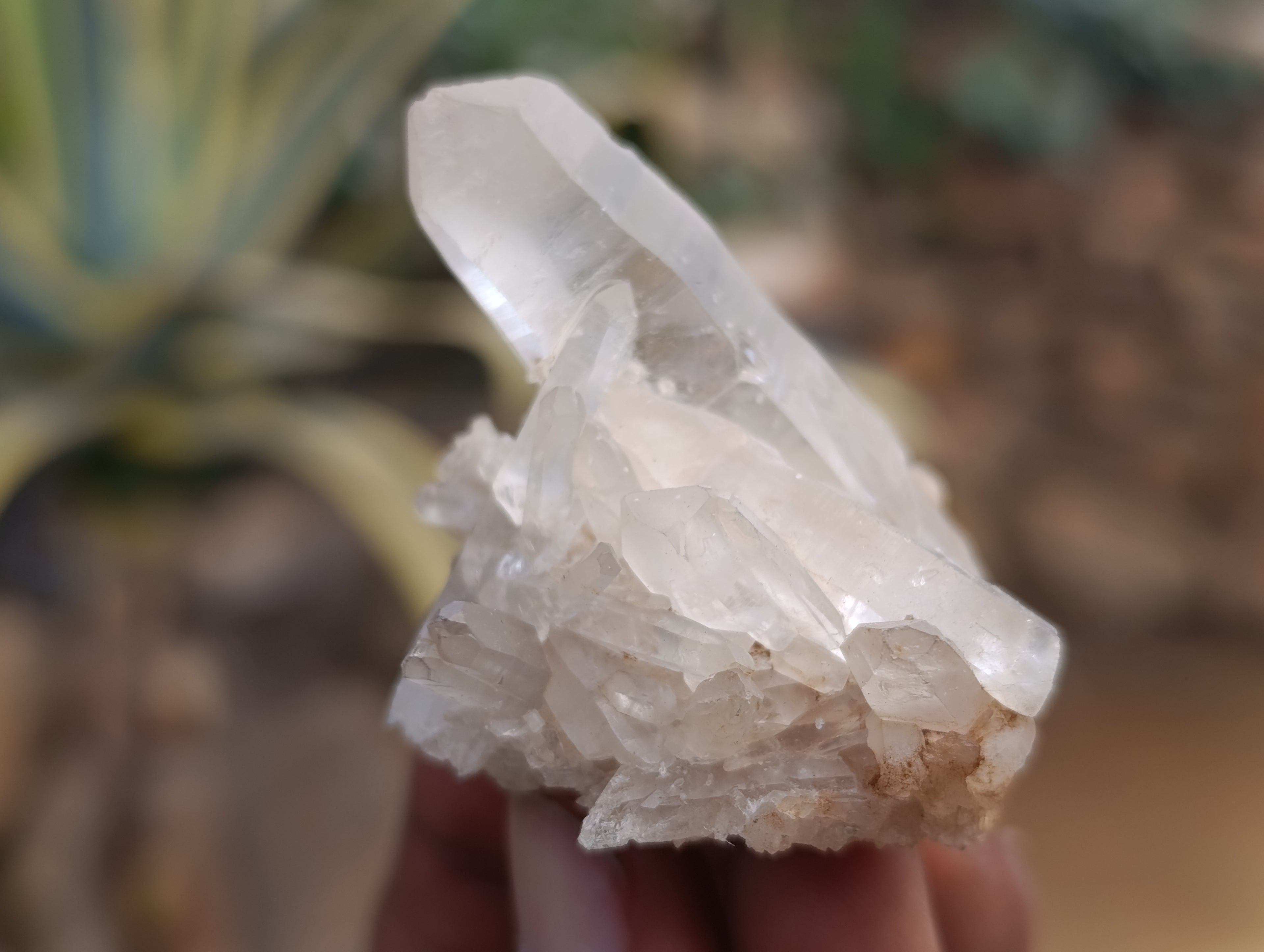 Natural Quartz Clusters x 24 From Madagascar - Toprock Gemstones and Minerals 