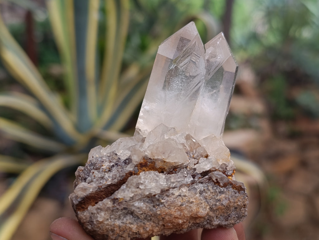 Natural Quartz Clusters x 24 From Madagascar - Toprock Gemstones and Minerals 