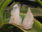 Natural Quartz Clusters x 24 From Madagascar - Toprock Gemstones and Minerals 