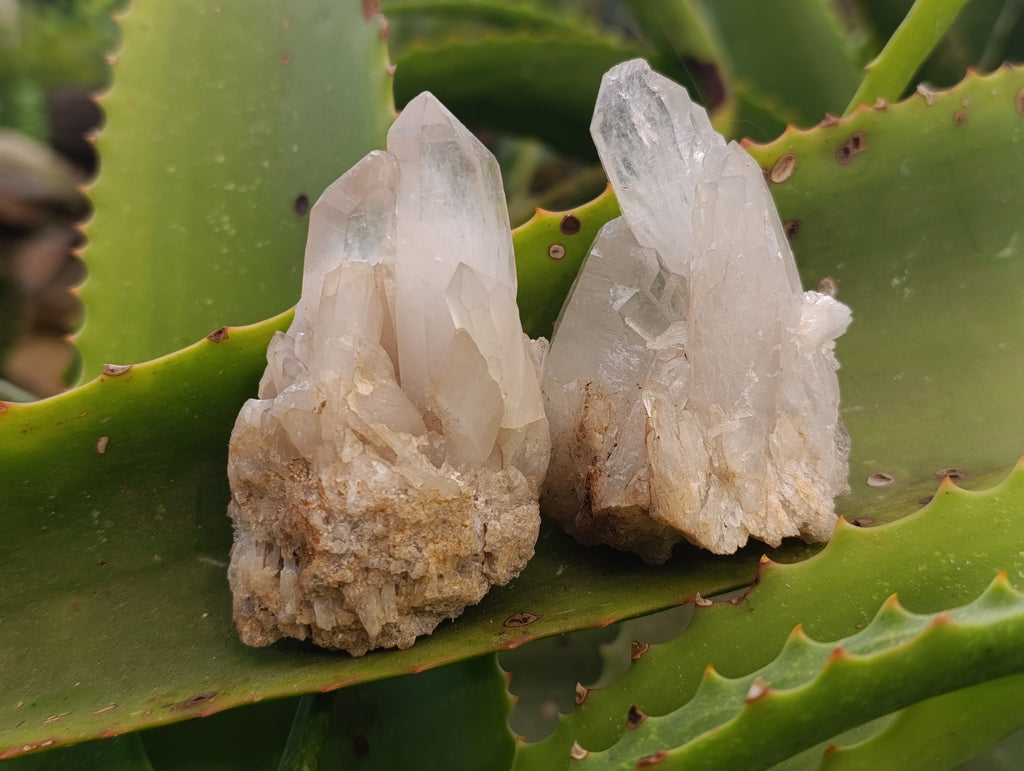 Natural Quartz Clusters x 24 From Madagascar - Toprock Gemstones and Minerals 