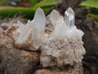 Natural Quartz Clusters x 24 From Madagascar - Toprock Gemstones and Minerals 
