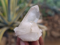 Natural Quartz Clusters x 24 From Madagascar - Toprock Gemstones and Minerals 