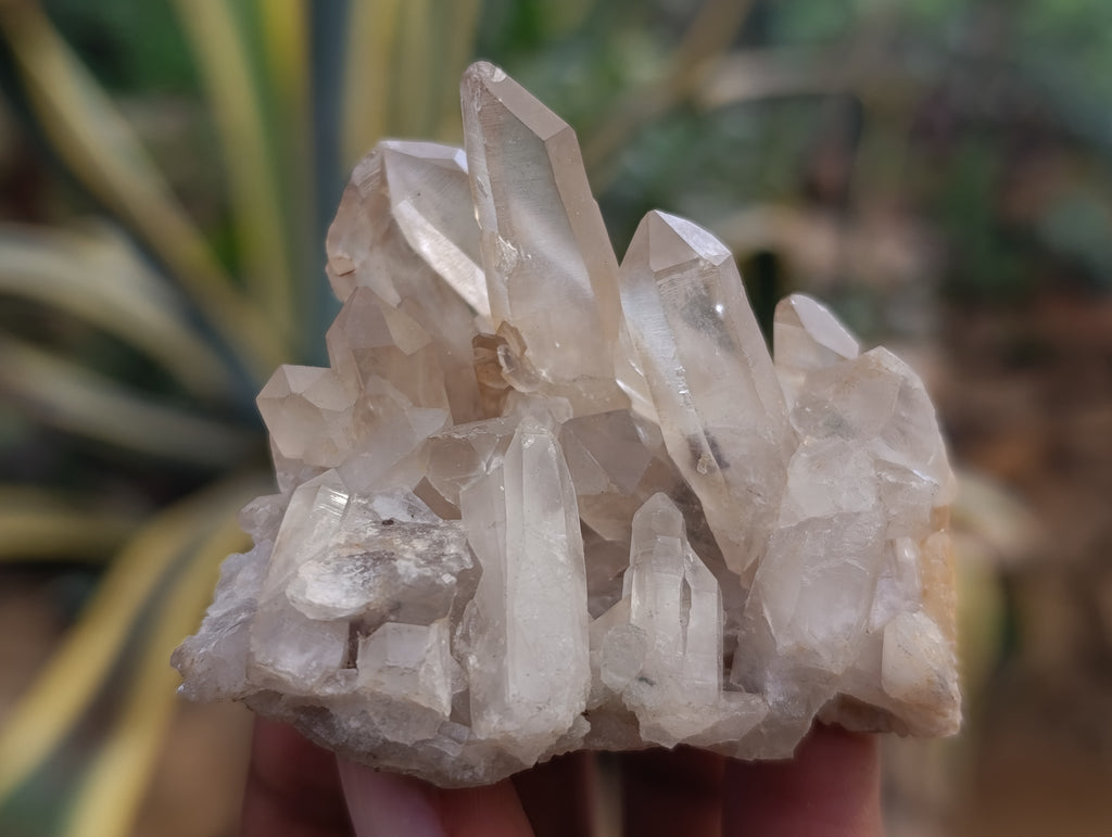 Natural Quartz Clusters x 24 From Madagascar - Toprock Gemstones and Minerals 