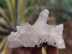 Natural Quartz Clusters x 24 From Madagascar - Toprock Gemstones and Minerals 