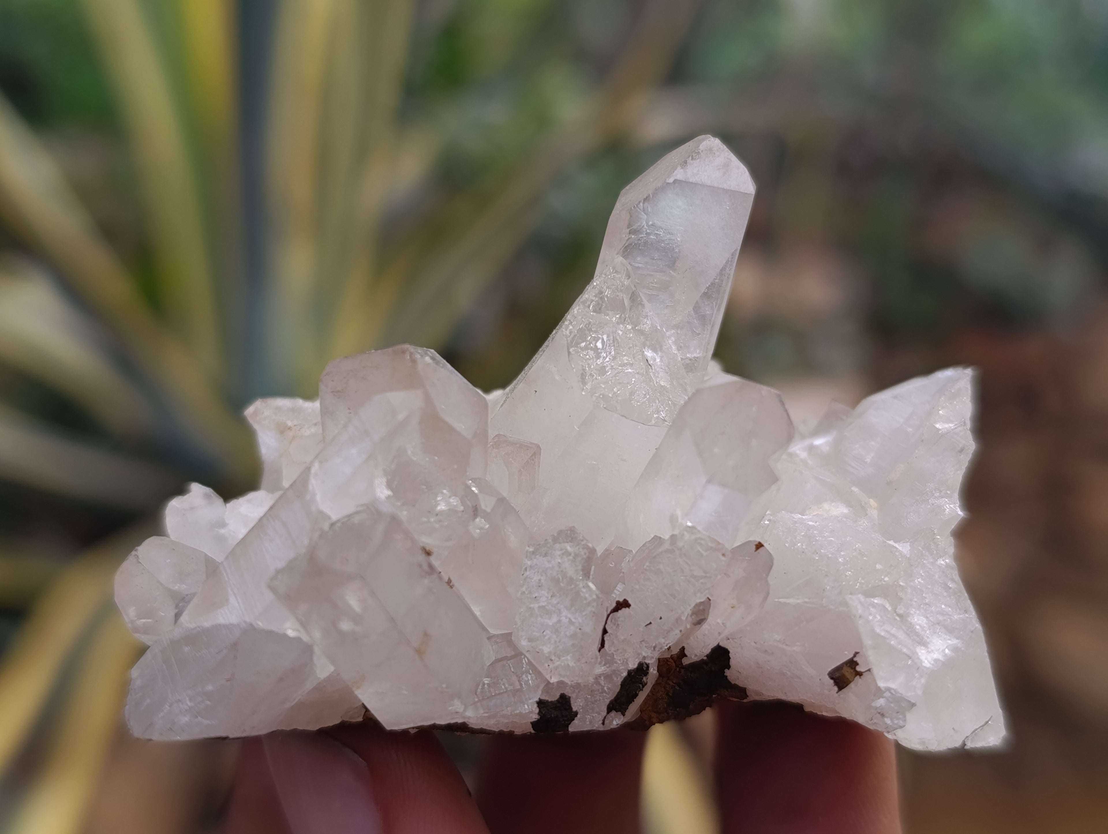 Natural Quartz Clusters x 24 From Madagascar - Toprock Gemstones and Minerals 