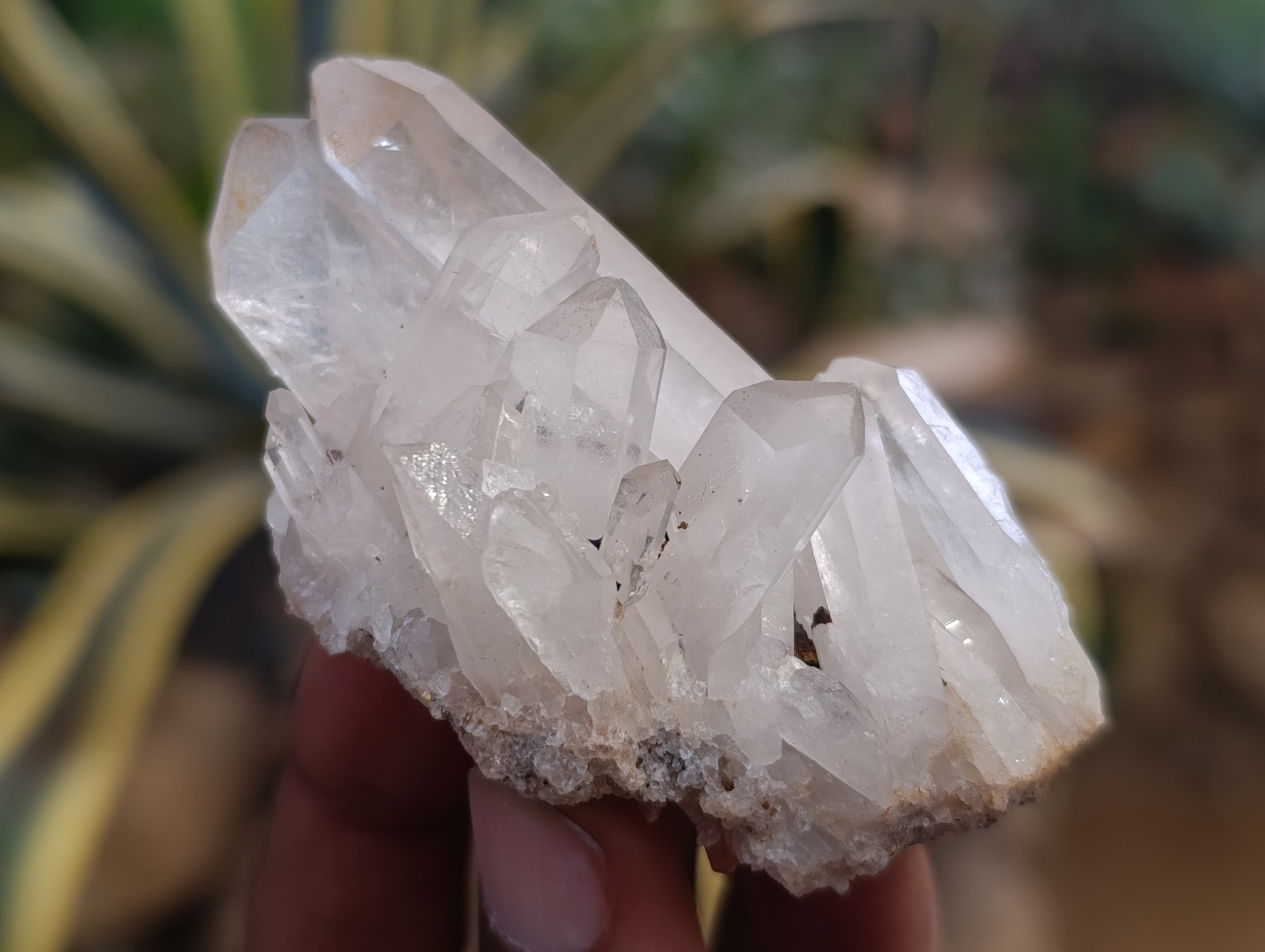 Natural Quartz Clusters x 24 From Madagascar - Toprock Gemstones and Minerals 