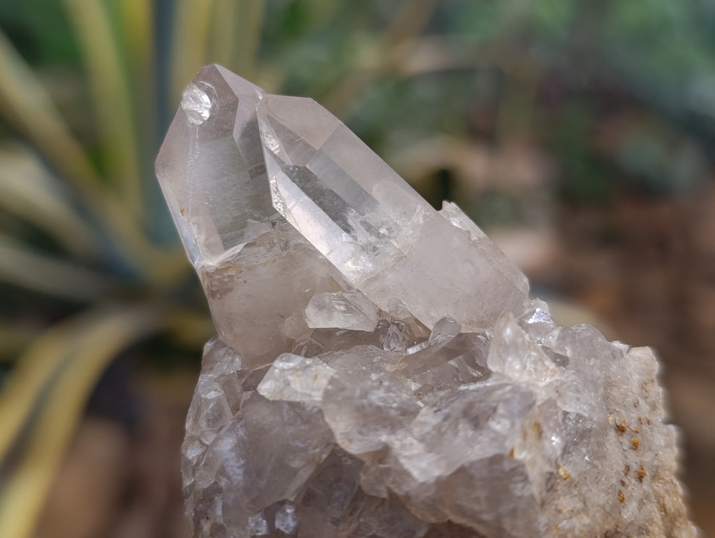 Natural Quartz Clusters x 24 From Madagascar - Toprock Gemstones and Minerals 