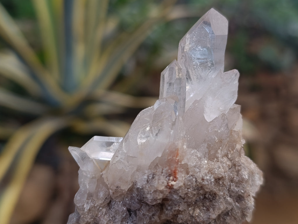 Natural Quartz Clusters x 24 From Madagascar - Toprock Gemstones and Minerals 