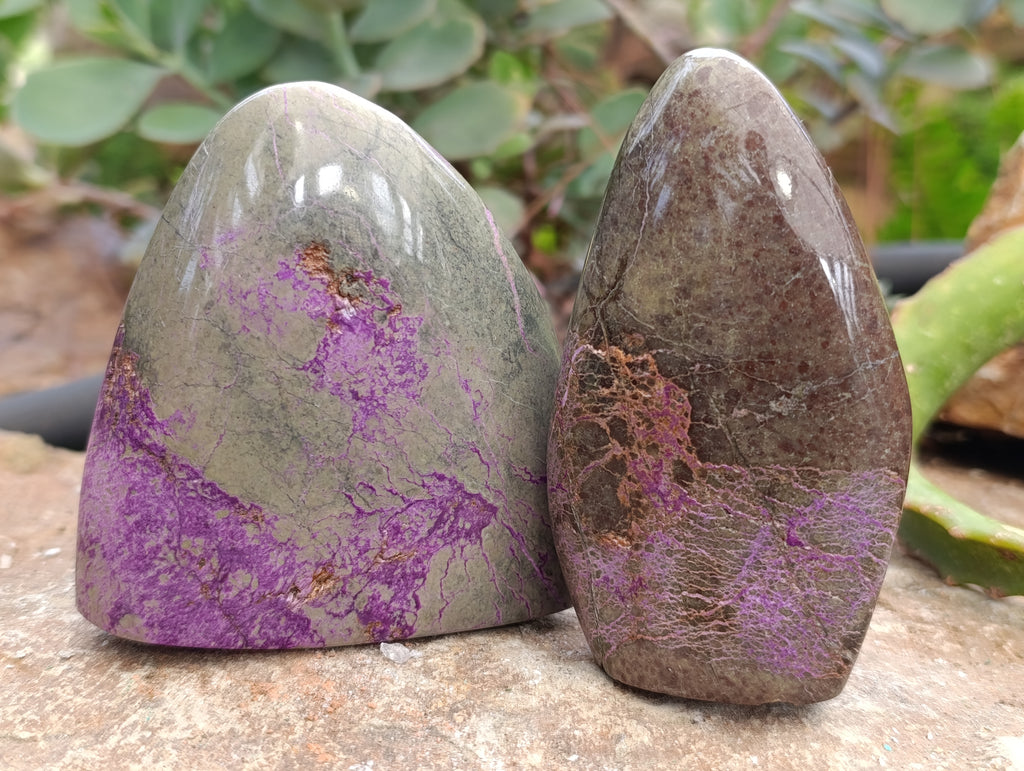 Polished Stichtite Standing Free Forms x 6 From Barberton, South Africa - Toprock Gemstones and Minerals 