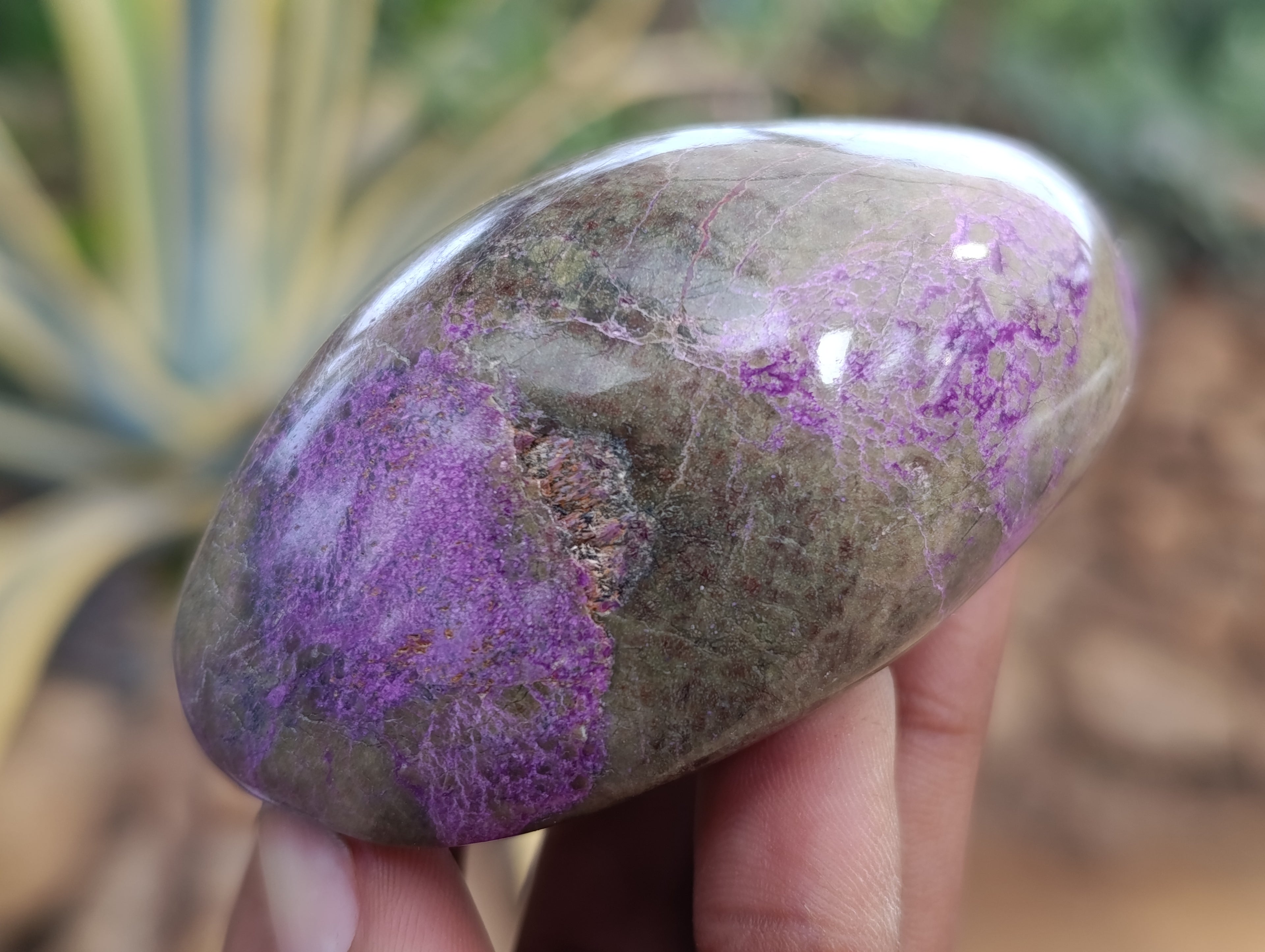 Polished Stichtite Standing Free Forms x 6 From Barberton, South Africa - Toprock Gemstones and Minerals 