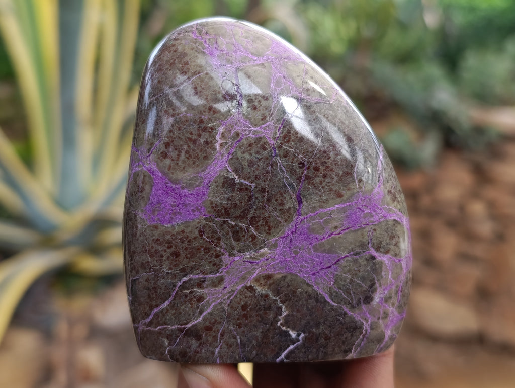 Polished Stichtite Standing Free Forms x 6 From Barberton, South Africa - Toprock Gemstones and Minerals 