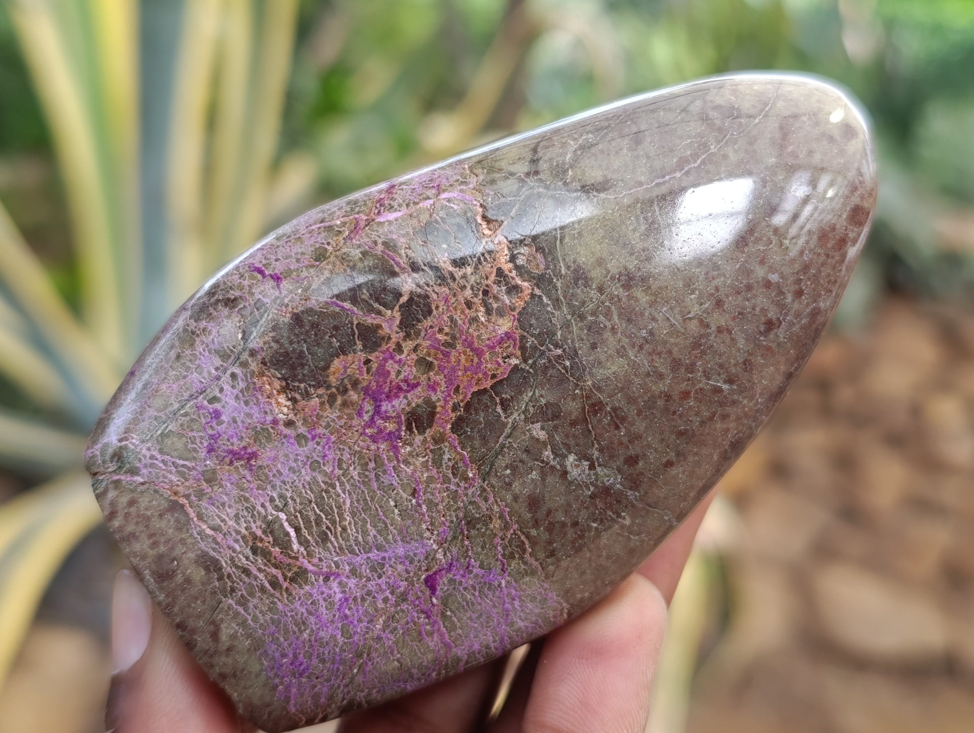 Polished Stichtite Standing Free Forms x 6 From Barberton, South Africa - Toprock Gemstones and Minerals 