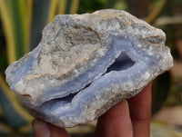Natural Blue Lace Agate Geode Specimens x 12 From Nsanje, Malawi