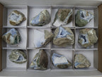 Natural Blue Lace Agate Geode Specimens x 12 From Nsanje, Malawi - Toprock Gemstones and Minerals 