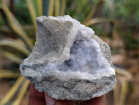 Natural Blue Lace Agate Geode Specimens x 12 From Nsanje, Malawi