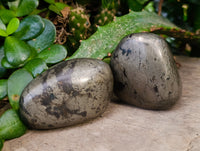 Polished Rare Pharaoh Stone Pyrite in Basalt Palm Stones x 12 Iron Duke Mine, Zimbabwe