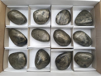 Polished Rare Pharaoh Stone Pyrite in Basalt Palm Stones x 12 Iron Duke Mine, Zimbabwe