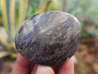 Polished Rare Pharaoh Stone Pyrite in Basalt Palm Stones x 12 Iron Duke Mine, Zimbabwe
