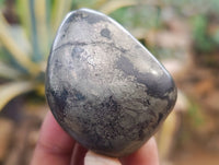 Polished Rare Pharaoh Stone Pyrite in Basalt Palm Stones x 12 Iron Duke Mine, Zimbabwe