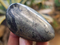 Polished Rare Pharaoh Stone Pyrite in Basalt Palm Stones x 12 Iron Duke Mine, Zimbabwe