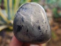 Polished Rare Pharaoh Stone Pyrite in Basalt Palm Stones x 12 Iron Duke Mine, Zimbabwe
