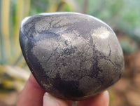 Polished Rare Pharaoh Stone Pyrite in Basalt Palm Stones x 12 Iron Duke Mine, Zimbabwe