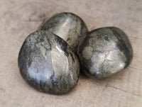 Polished Rare Pharaoh Stone Pyrite in Basalt Palm Stones x 12 Iron Duke Mine, Zimbabwe