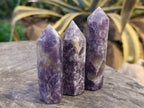 Polished Lepidolite Points x 7 From Vakinankaratra, Madagascar - Toprock Gemstones and Minerals 