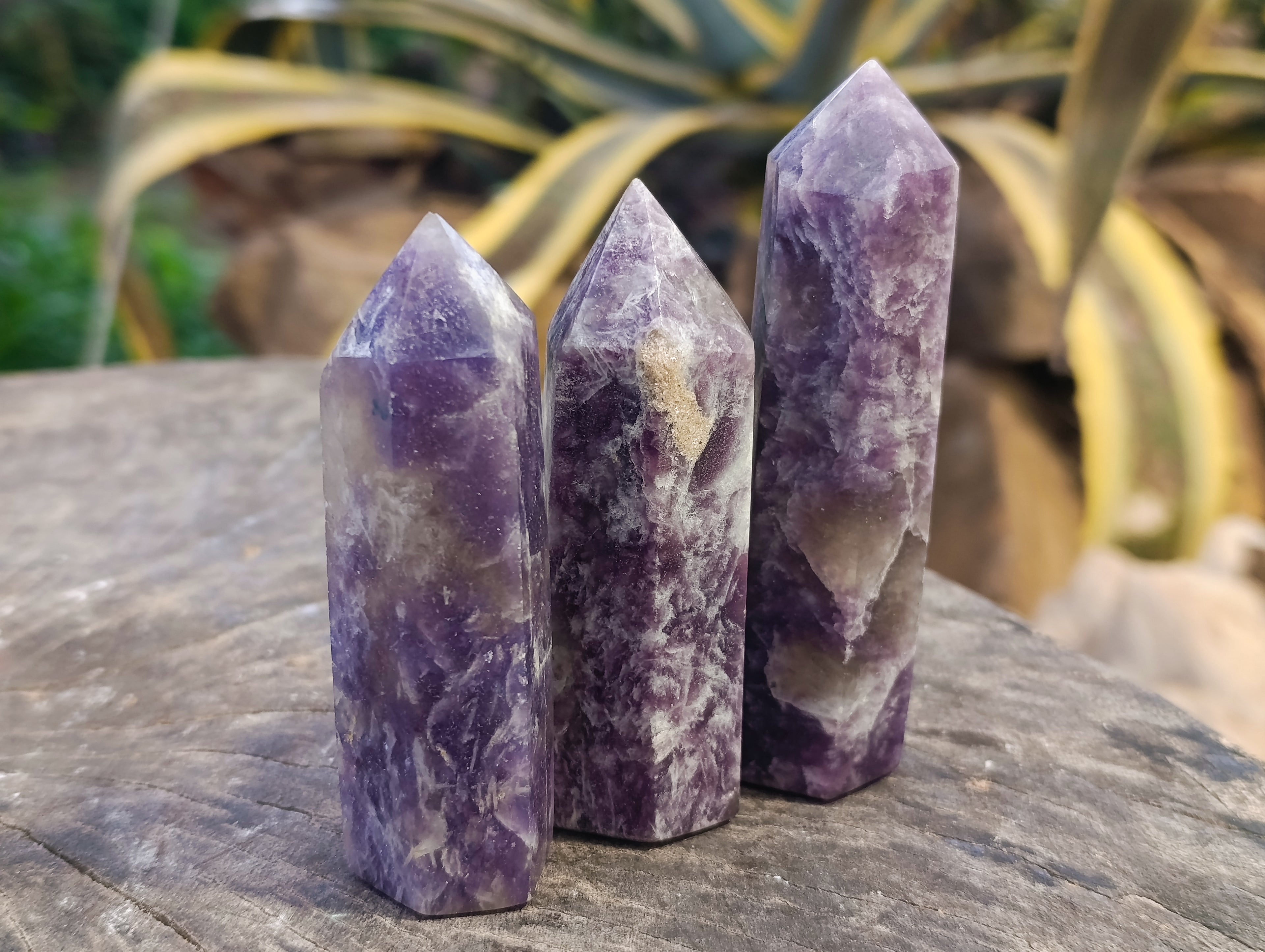 Polished Lepidolite Points x 7 From Vakinankaratra, Madagascar - Toprock Gemstones and Minerals 