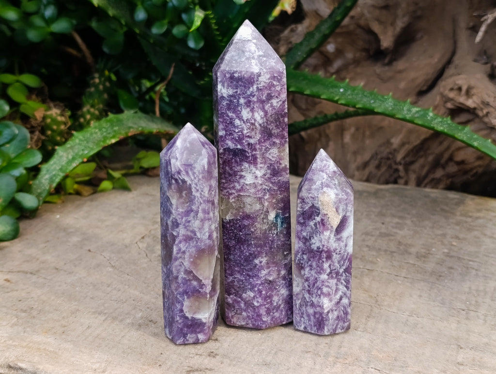 Polished Lepidolite Points x 7 From Vakinankaratra, Madagascar - Toprock Gemstones and Minerals 