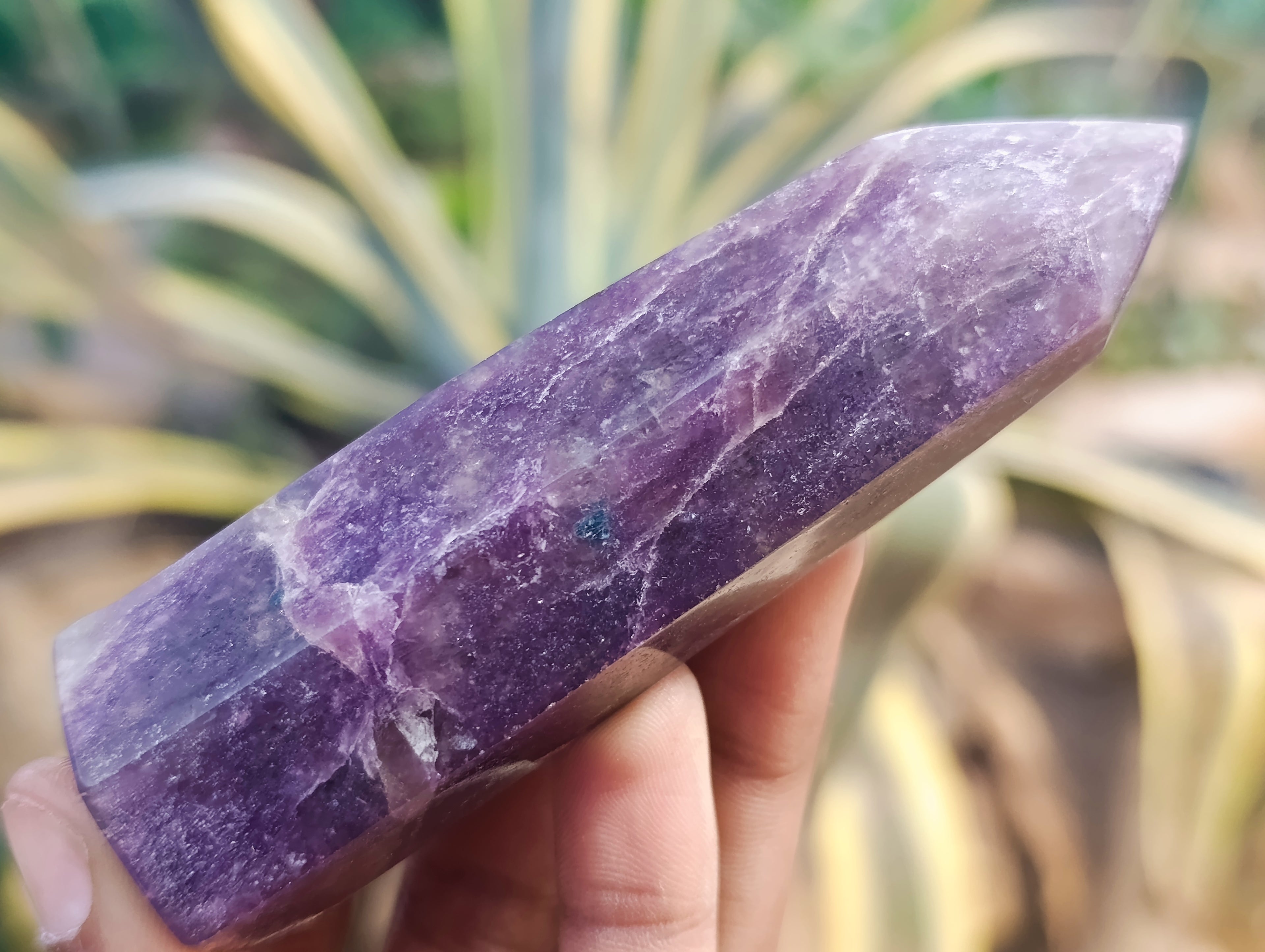 Polished Lepidolite Points x 7 From Vakinankaratra, Madagascar - Toprock Gemstones and Minerals 