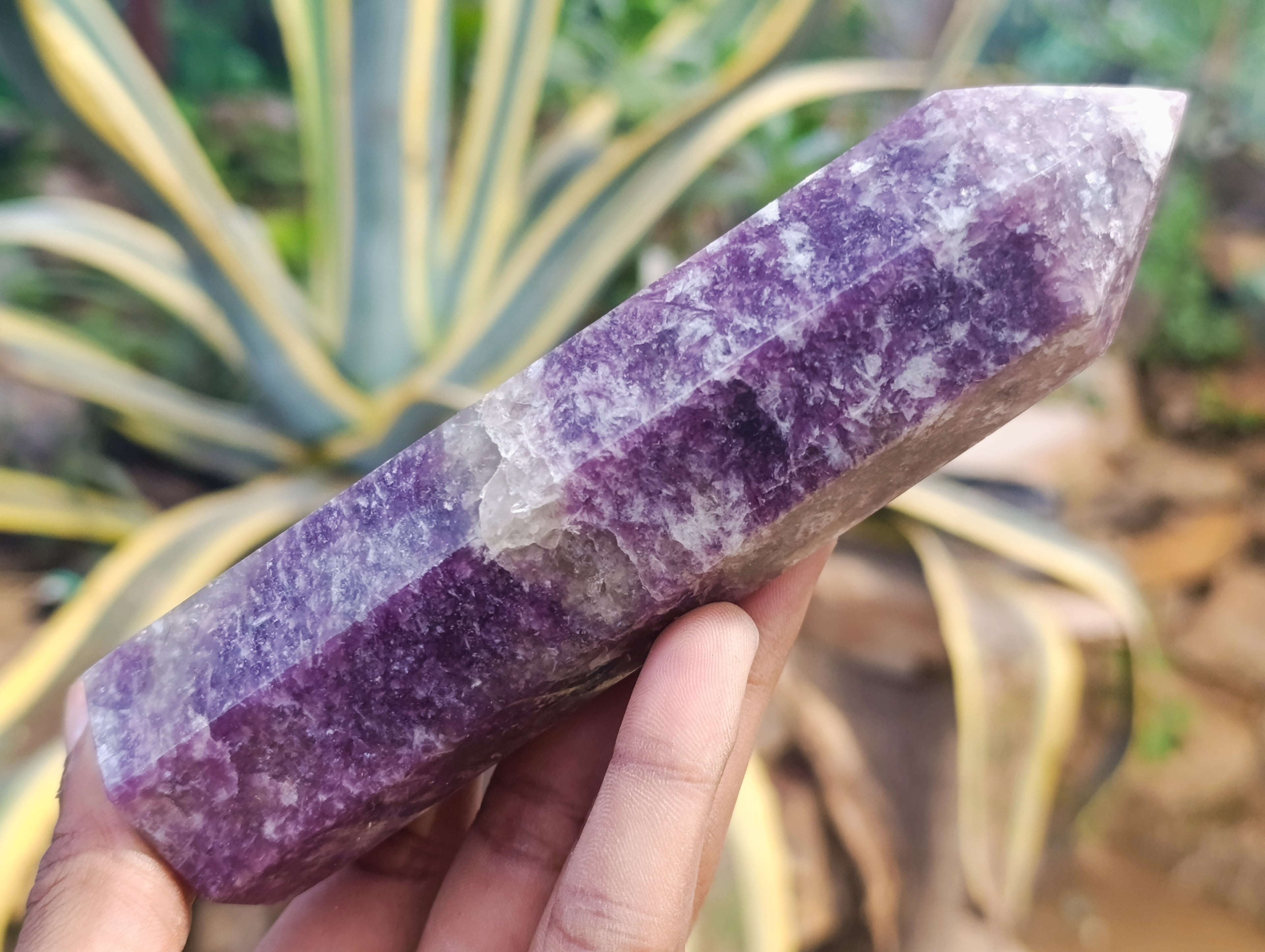 Polished Lepidolite Points x 7 From Vakinankaratra, Madagascar - Toprock Gemstones and Minerals 