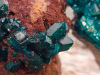 Natural Small Dioptase on Dolomite Matrix Specimens x 2 From Likasi, Congo - Toprock Gemstones and Minerals 
