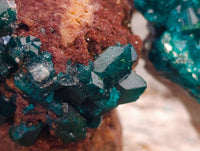 Natural Small Dioptase on Dolomite Matrix Specimens x 2 From Likasi, Congo