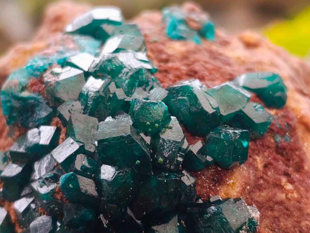 Natural Small Dioptase on Dolomite Matrix Specimens x 2 From Likasi, Congo - Toprock Gemstones and Minerals 