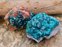 Natural Small Dioptase on Dolomite Matrix Specimens x 2 From Likasi, Congo
