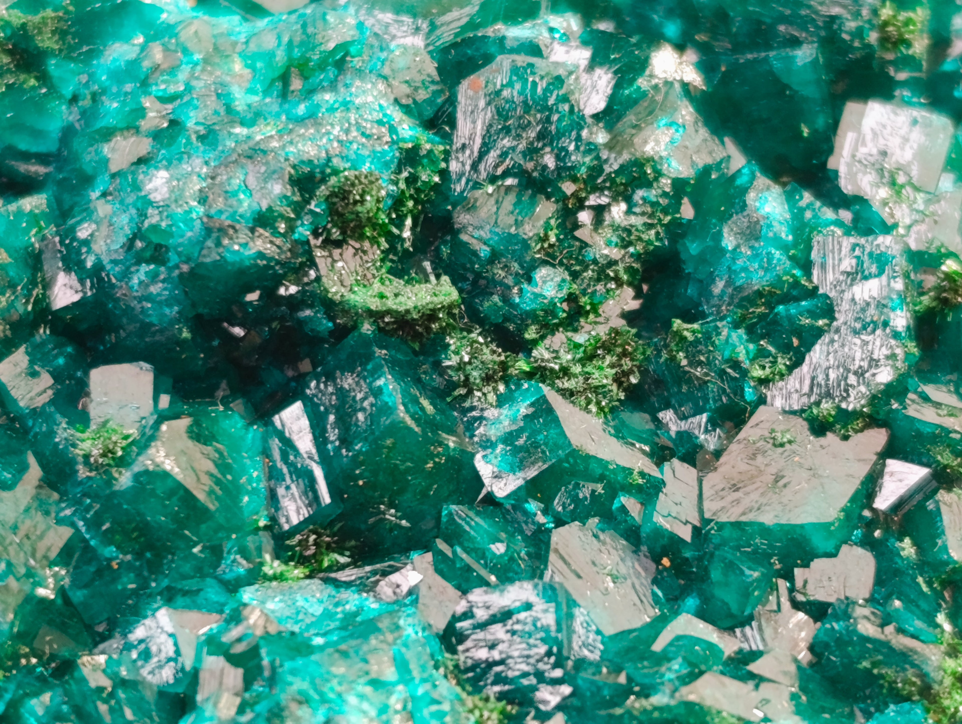 Natural Small Dioptase on Dolomite Matrix Specimens x 2 From Likasi, Congo - Toprock Gemstones and Minerals 