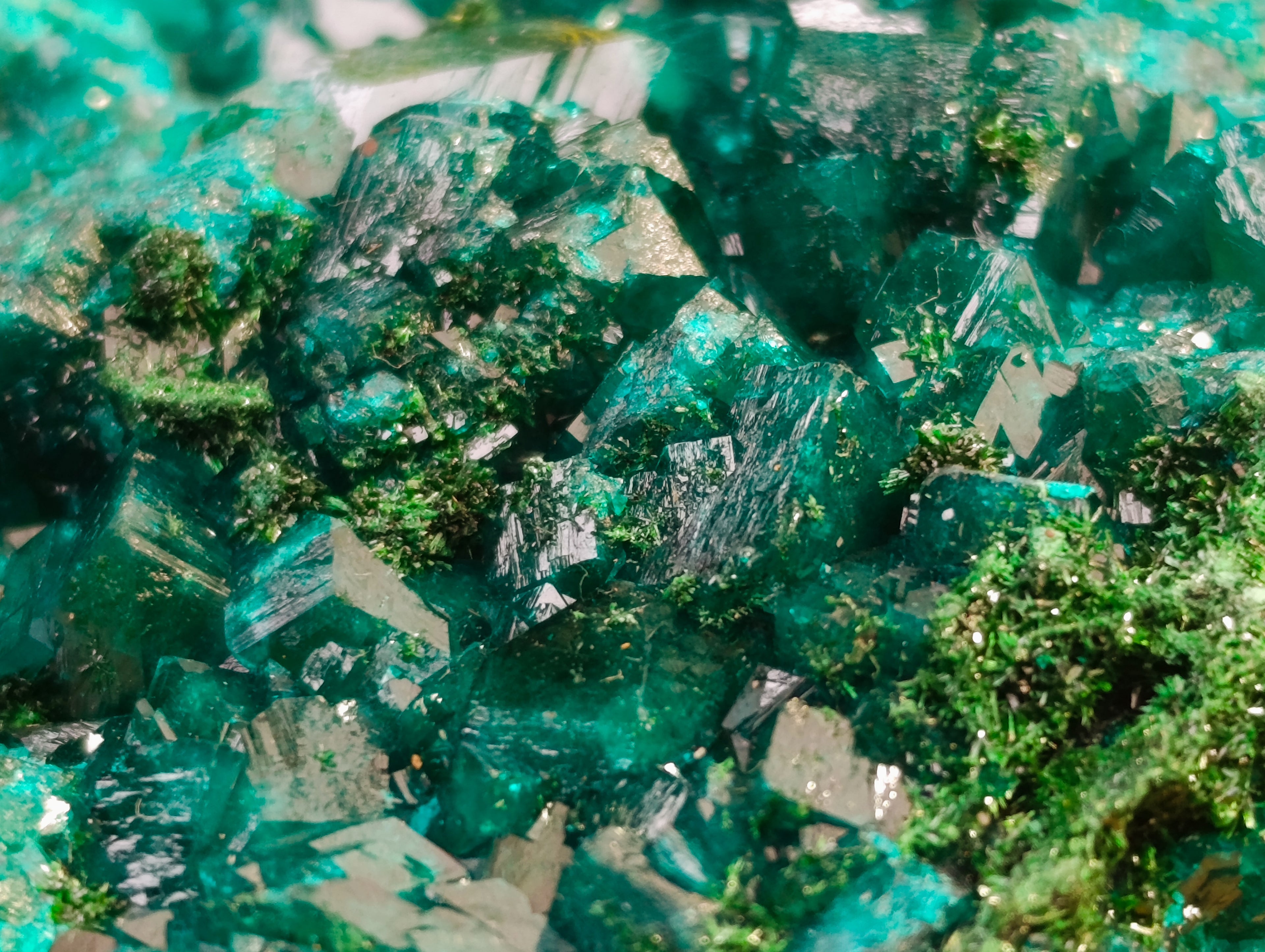 Natural Small Dioptase on Dolomite Matrix Specimens x 2 From Likasi, Congo - Toprock Gemstones and Minerals 