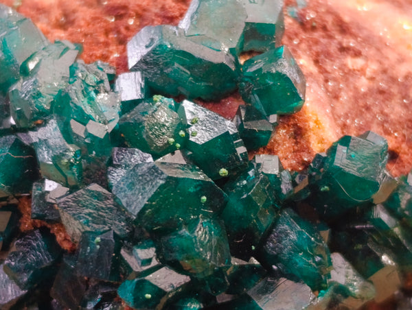 Natural Small Dioptase on Dolomite Matrix Specimens x 2 From Likasi, Congo