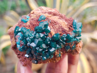 Natural Small Dioptase on Dolomite Matrix Specimens x 2 From Likasi, Congo