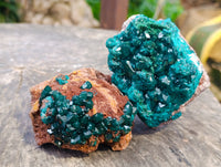 Natural Small Dioptase on Dolomite Matrix Specimens x 2 From Likasi, Congo