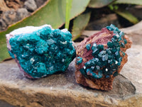 Natural Small Dioptase on Dolomite Matrix Specimens x 2 From Likasi, Congo