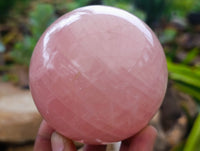 Polished Gemmy Rose Quartz Spheres x 3 From Ambatondrazaka, Madagascar