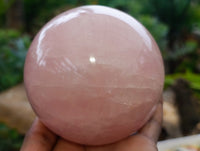 Polished Gemmy Rose Quartz Spheres x 3 From Ambatondrazaka, Madagascar