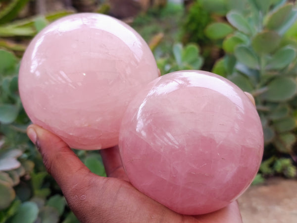 Polished Gemmy Rose Quartz Spheres x 3 From Ambatondrazaka, Madagascar