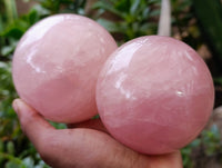 Polished Gemmy Rose Quartz Spheres x 3 From Ambatondrazaka, Madagascar