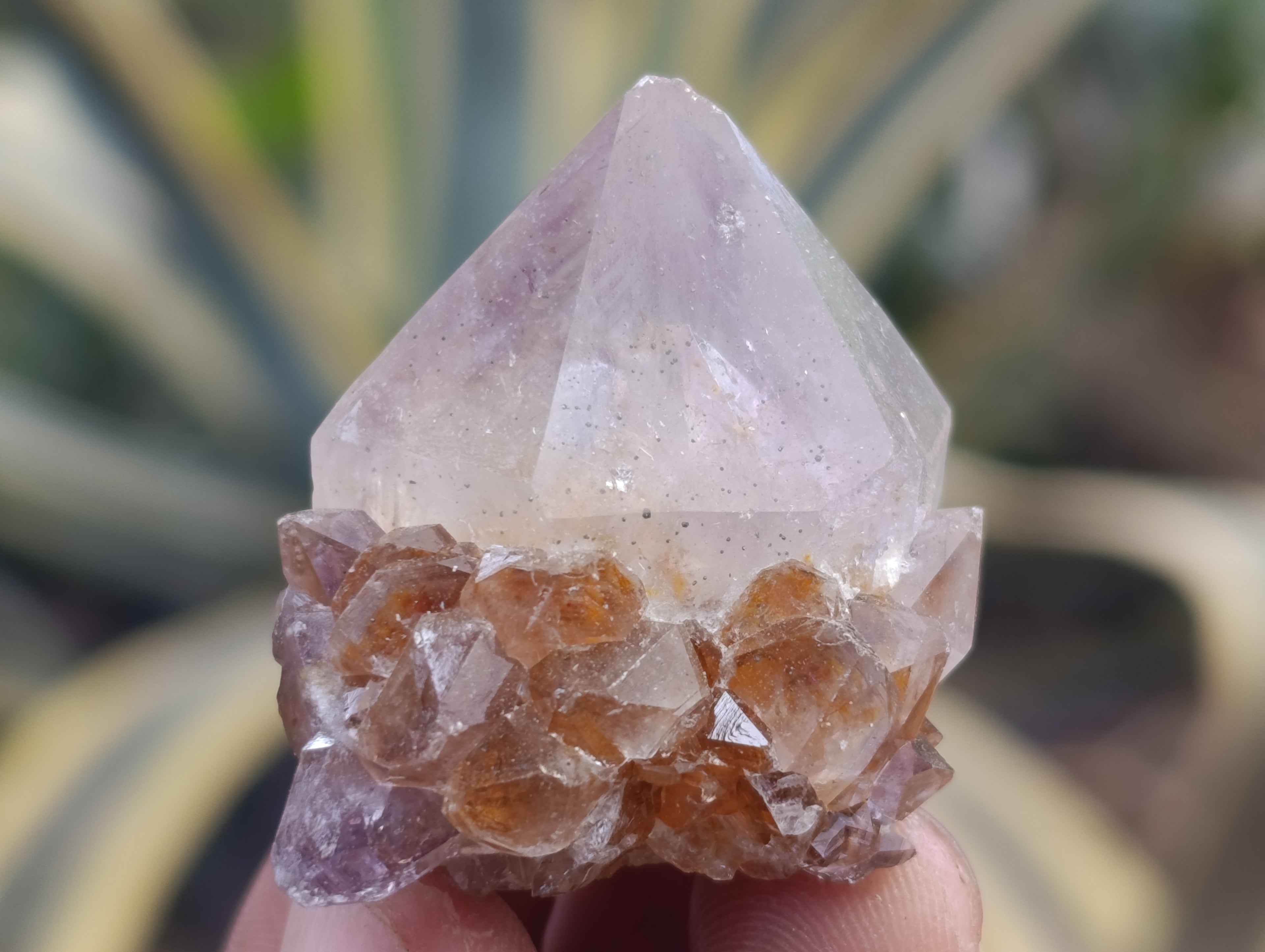 Natural Dark Amethyst Spirit Quartz Crystal Points x 63 From Boekenhouthoek, South Africa - Toprock Gemstones and Minerals 